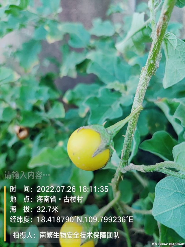 请输入内容…