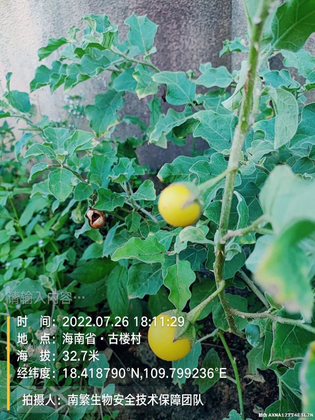 请输入内容…