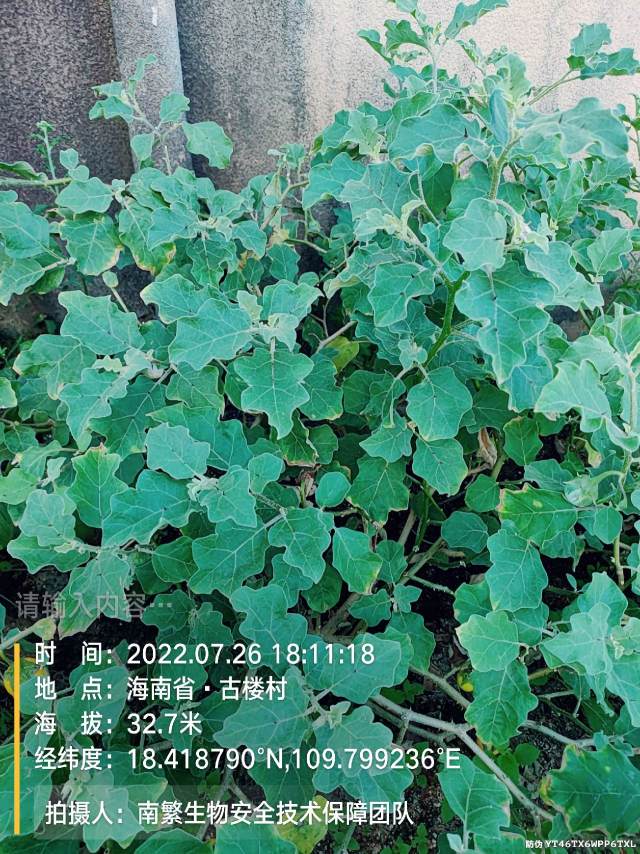 请输入内容…