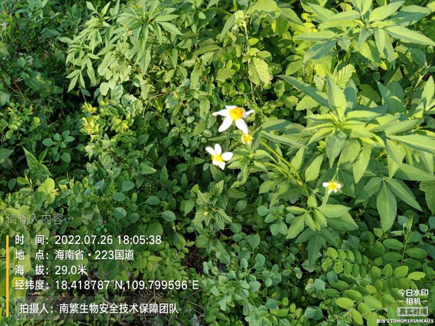 请输入内容…