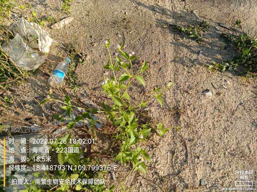 请输入内容…