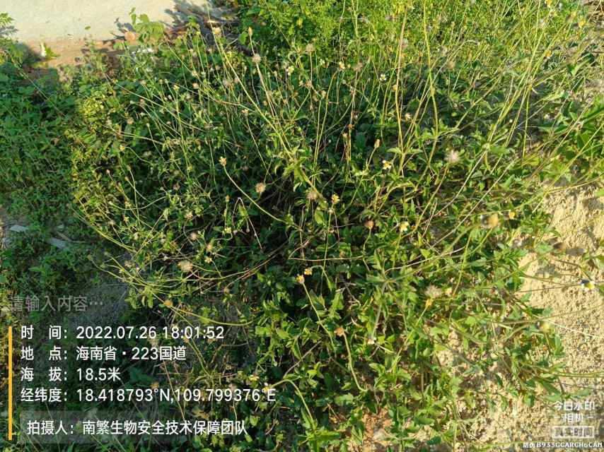 请输入内容…