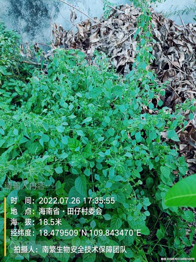 请输入内容…