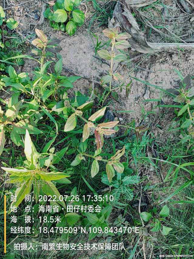 请输入内容…