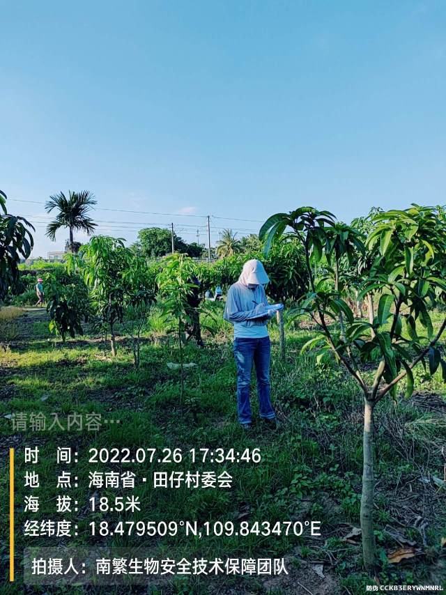 请输入内容…