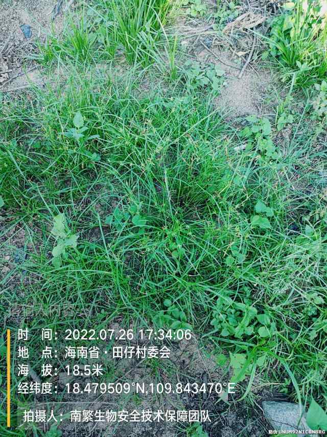 请输入内容…
