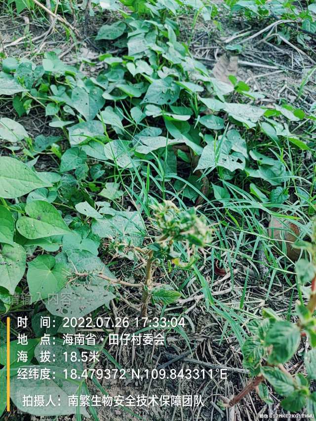 请输入内容…