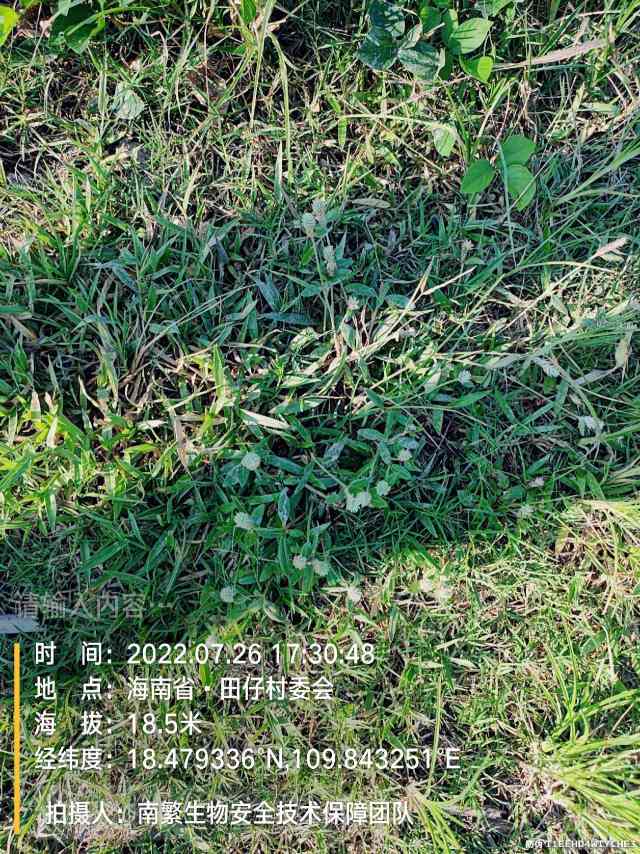 请输入内容…