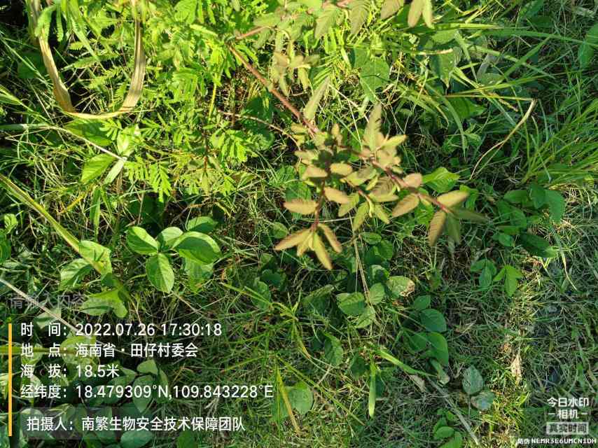 请输入内容…