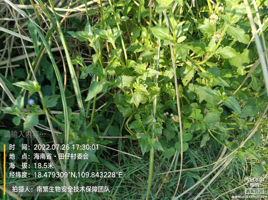 请输入内容…