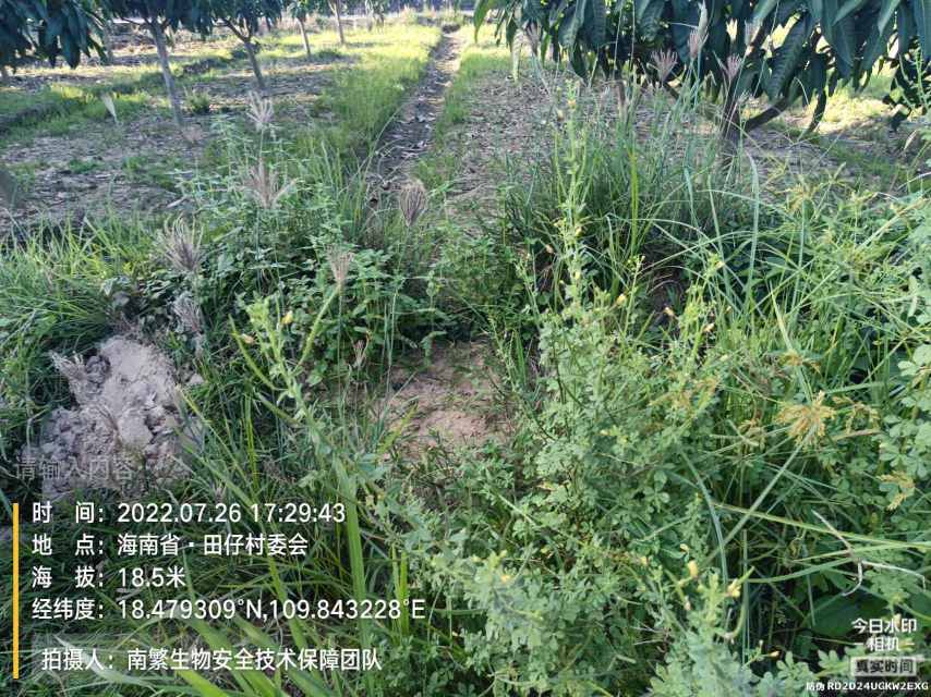 请输入内容…