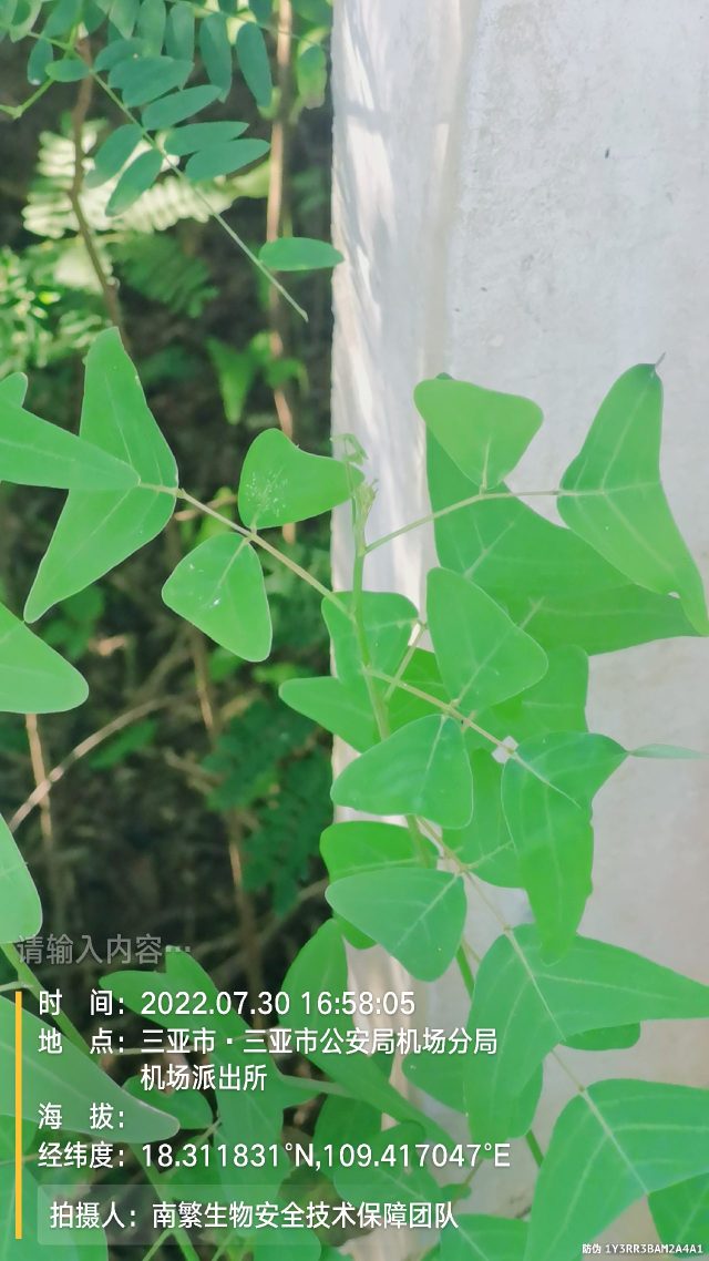 请输入内容…