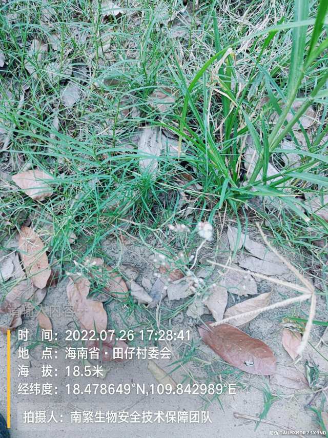 请输入内容…