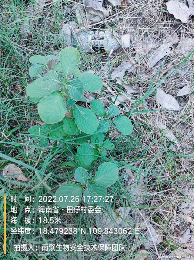 请输入内容…