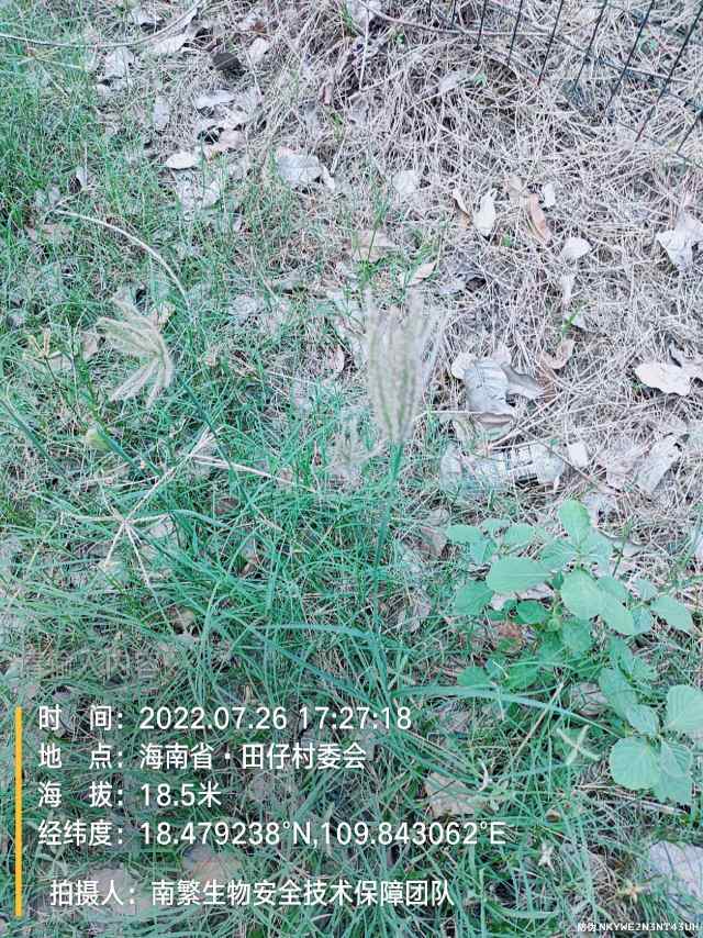 请输入内容…