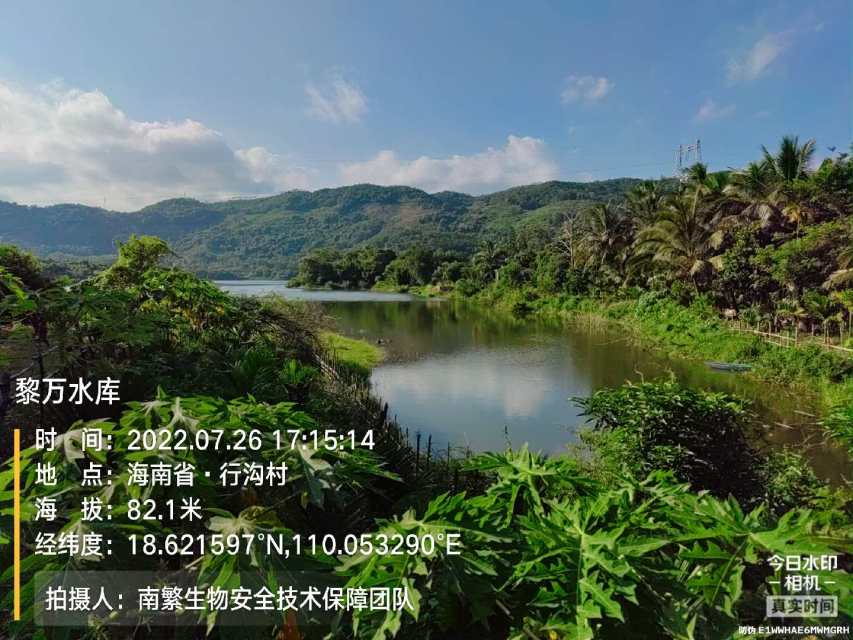 黎万水库