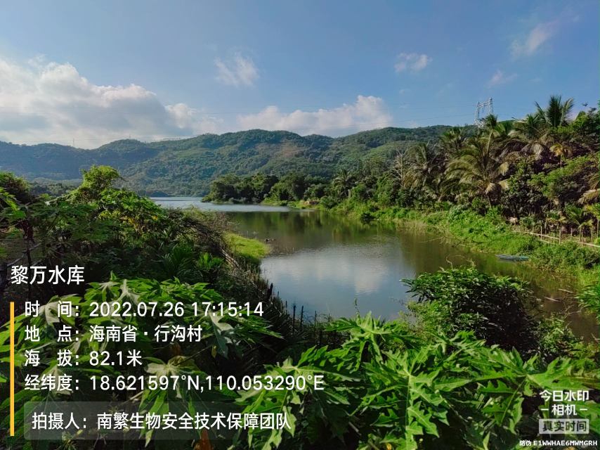 黎万水库