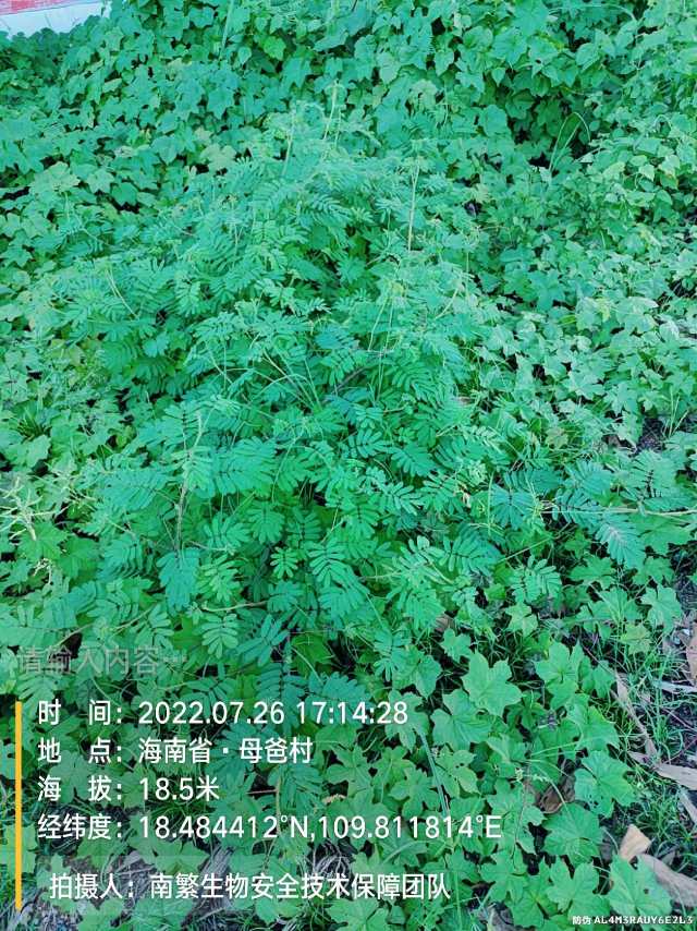 请输入内容…