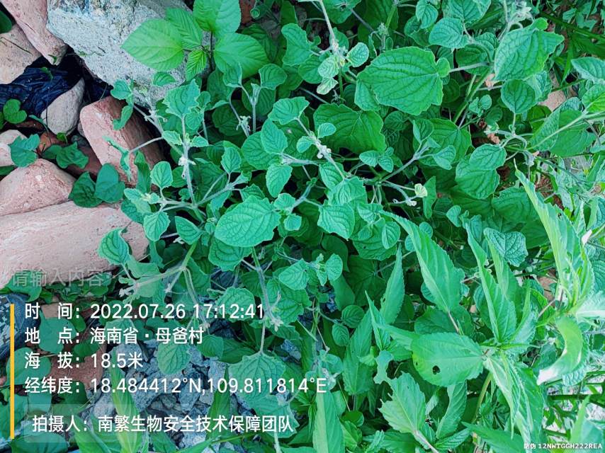 请输入内容…