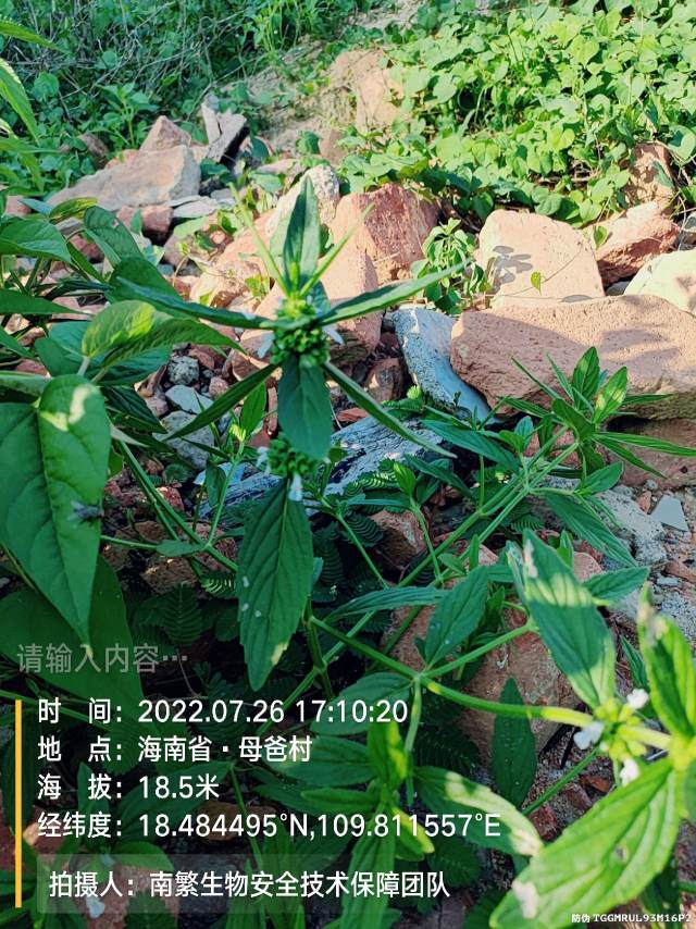 请输入内容…