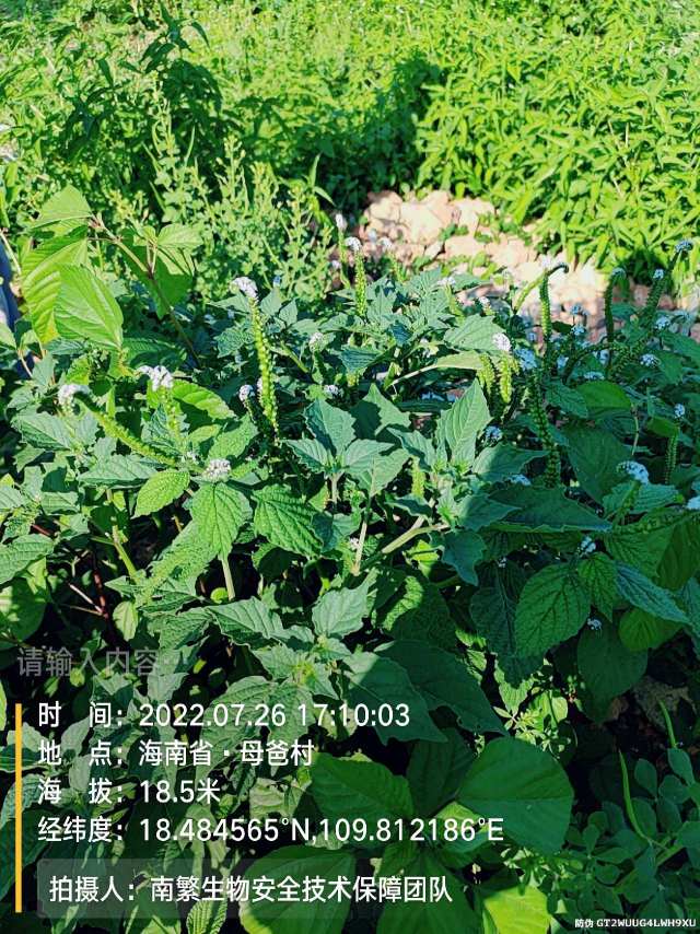 请输入内容…