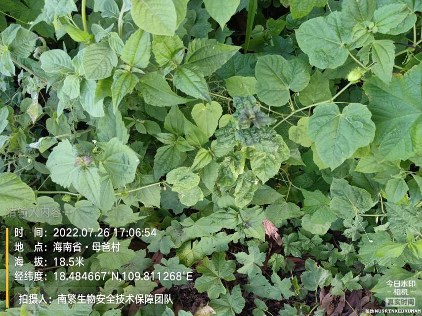 请输入内容…