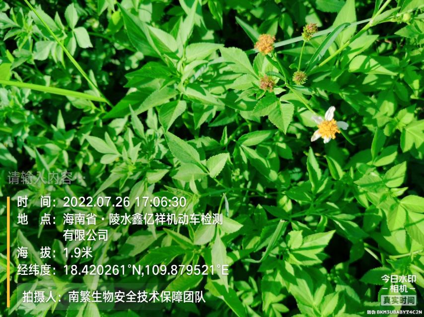 请输入内容…