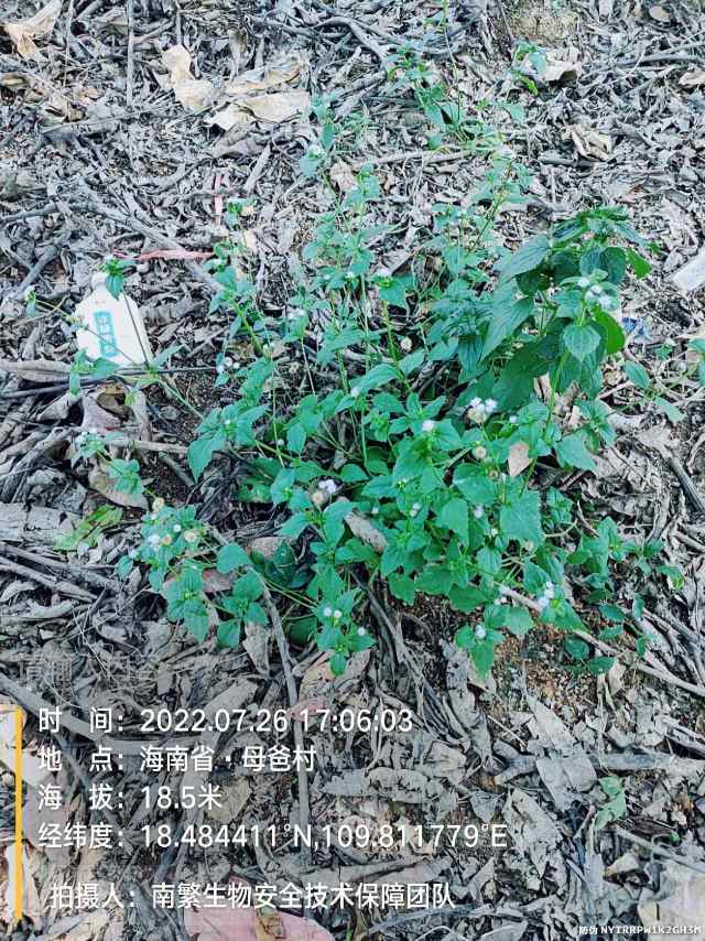 请输入内容…