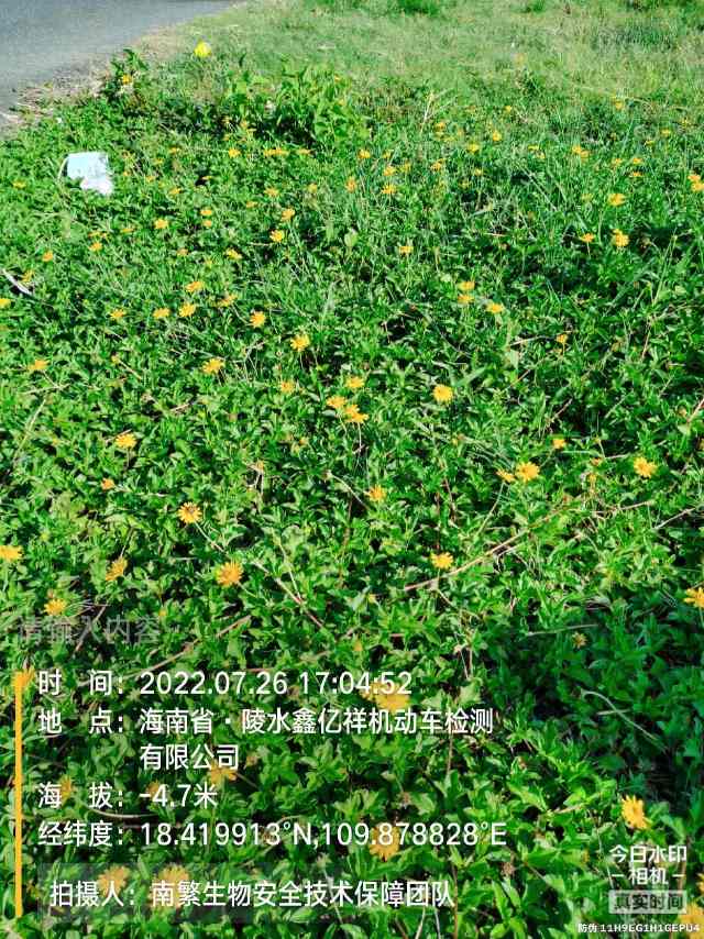 请输入内容…