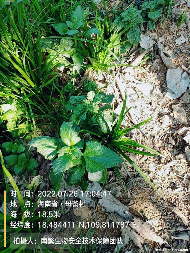 请输入内容…