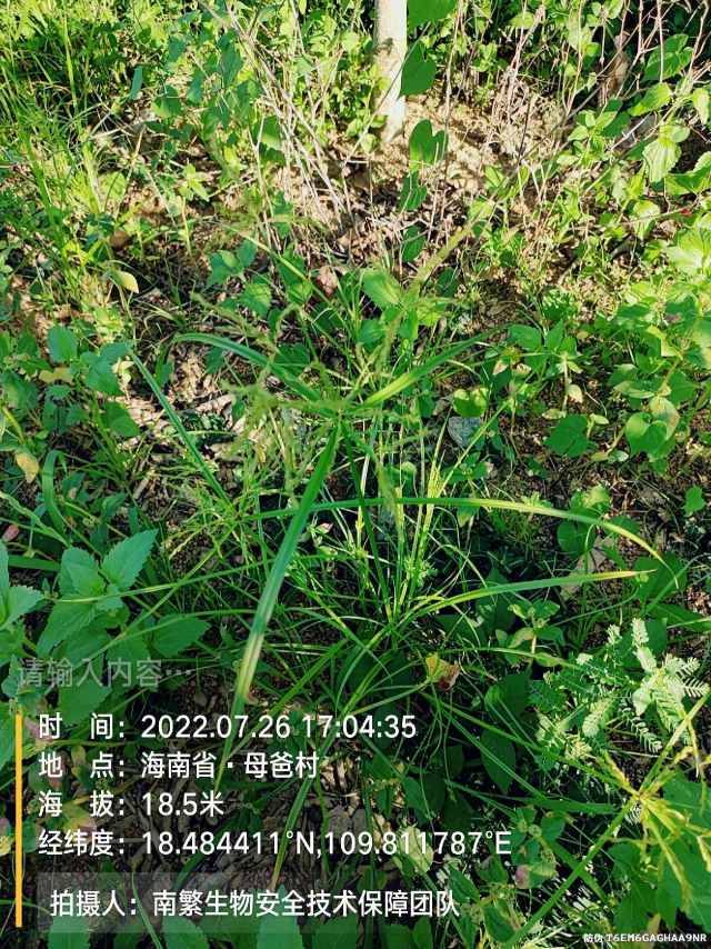 请输入内容…