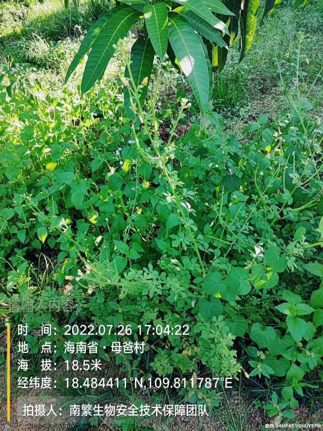 请输入内容…