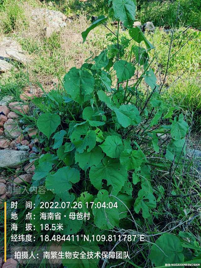 请输入内容…
