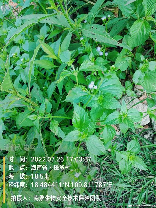请输入内容…