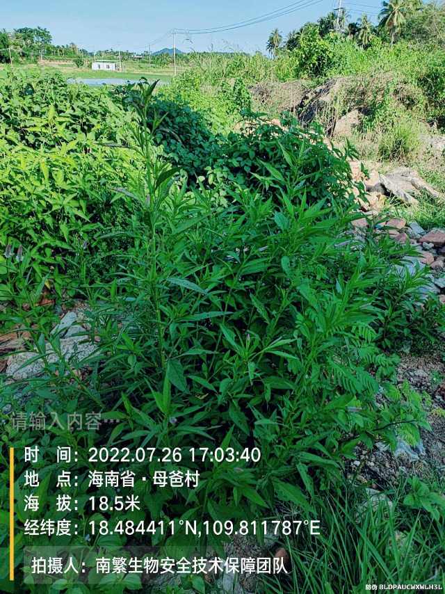 请输入内容…