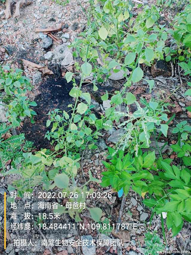 请输入内容…