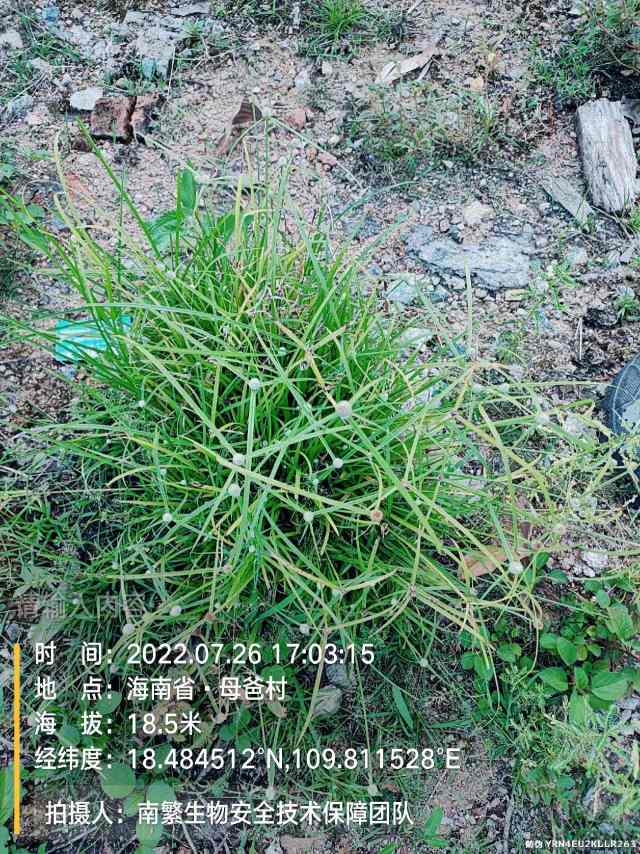请输入内容…
