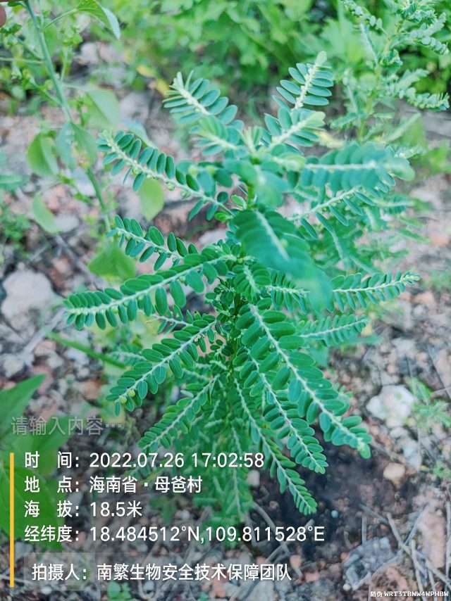 请输入内容…