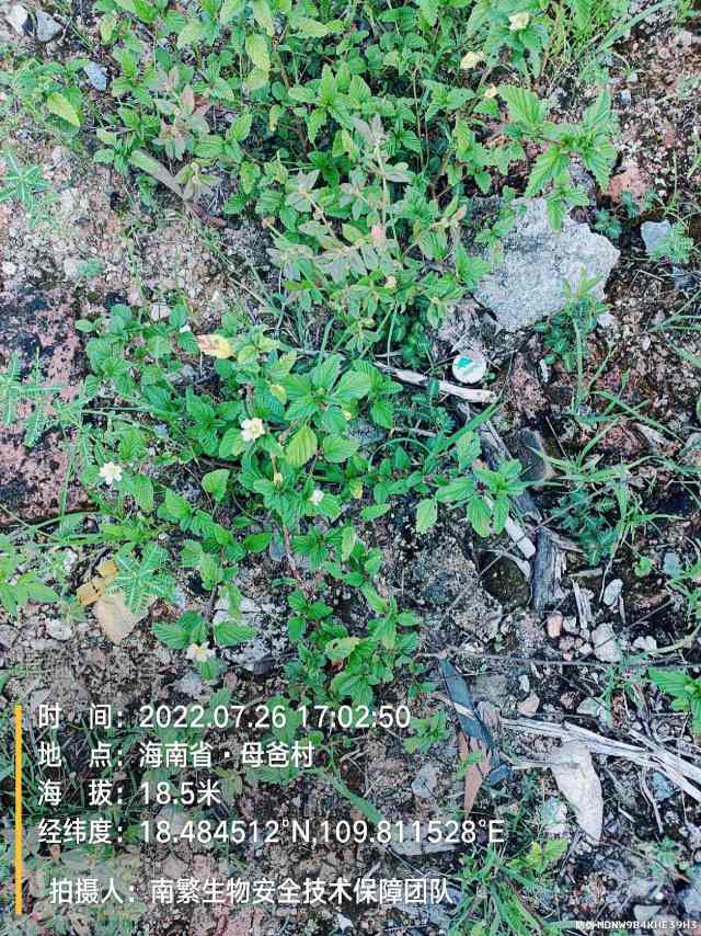 请输入内容…