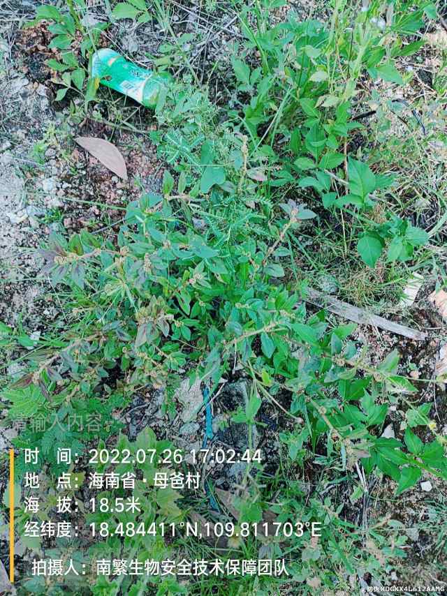 请输入内容…