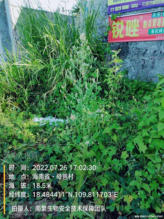 请输入内容…