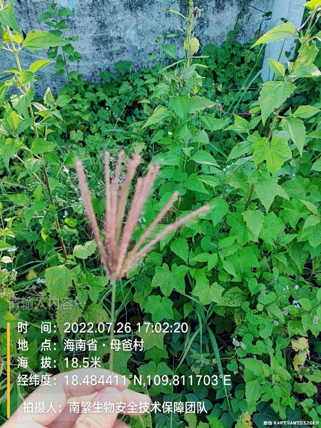 请输入内容…