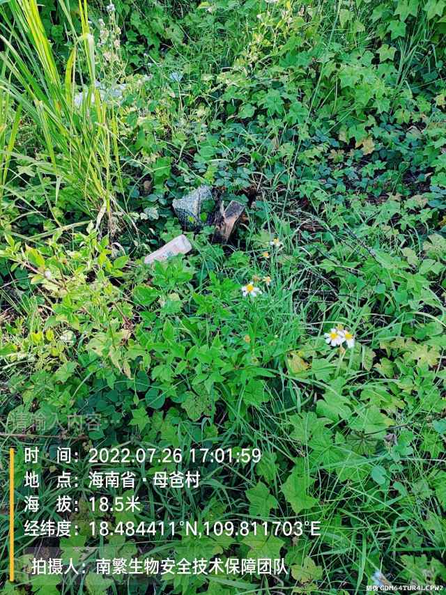 请输入内容…