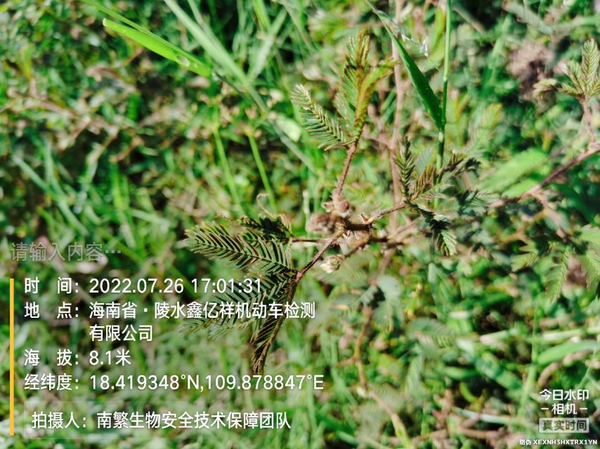 请输入内容…