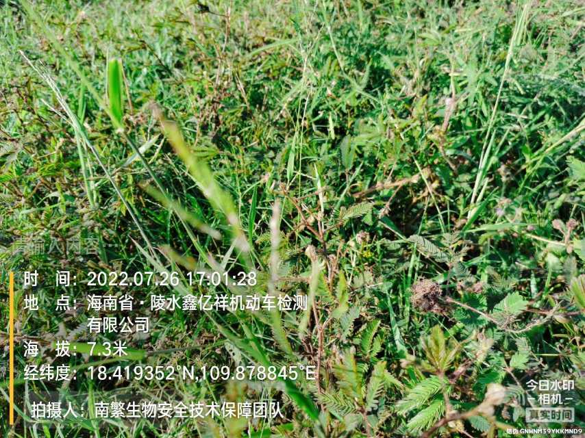 请输入内容…