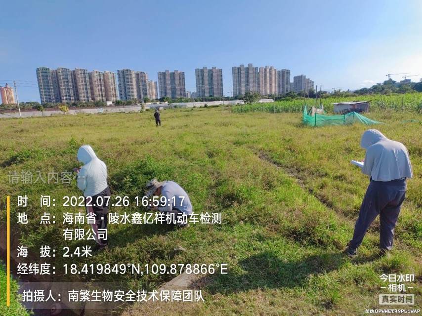 请输入内容…