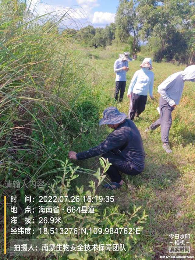 请输入内容…