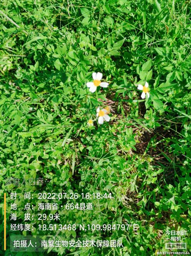 请输入内容…