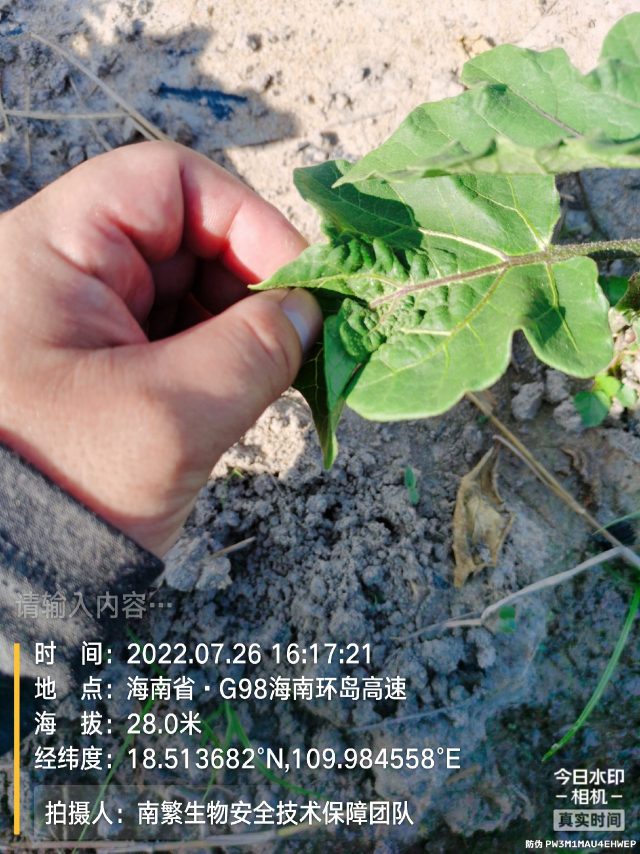 请输入内容…
