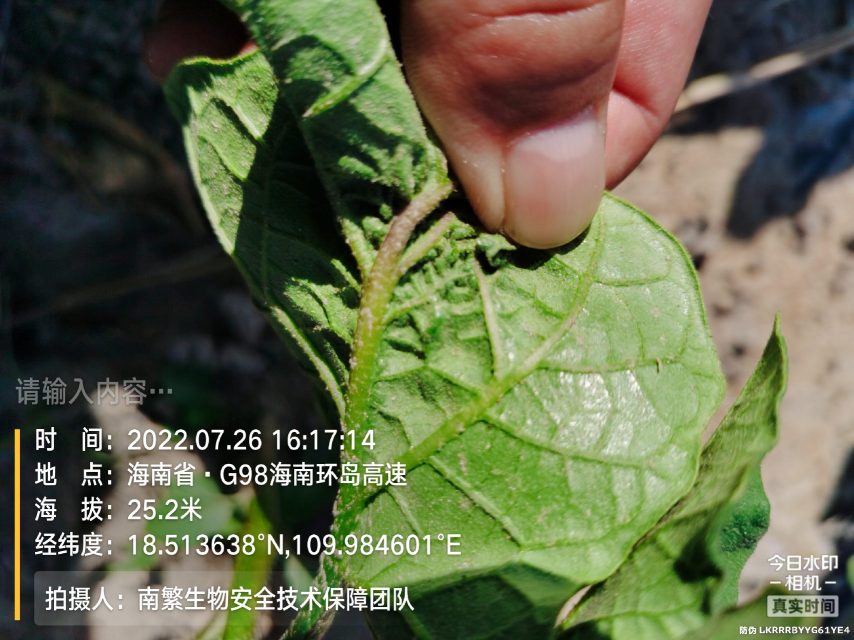 请输入内容…